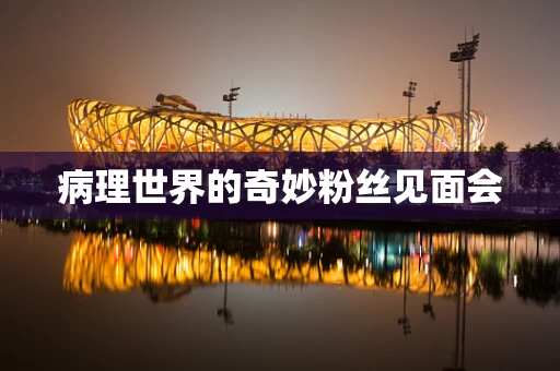 病理世界的奇妙粉丝见面会
