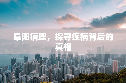 阜阳病理，探寻疾病背后的真相