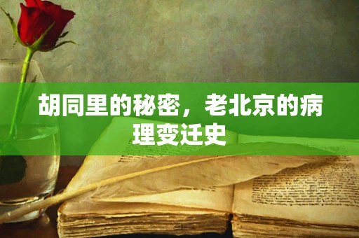 胡同里的秘密，老北京的病理变迁史