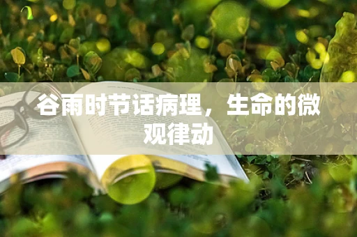 谷雨时节话病理，生命的微观律动