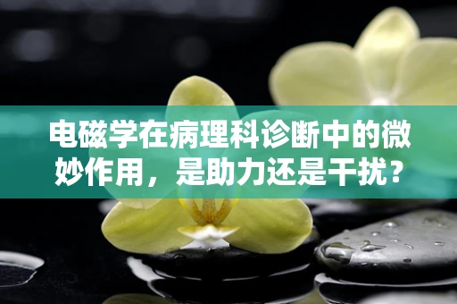 电磁学在病理科诊断中的微妙作用，是助力还是干扰？