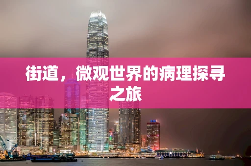 街道，微观世界的病理探寻之旅
