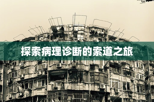 探索病理诊断的索道之旅