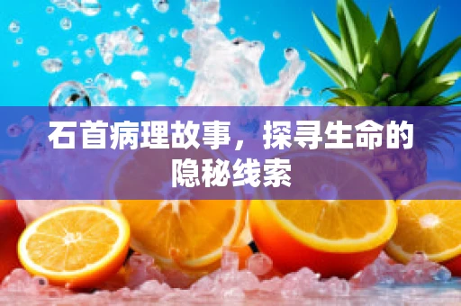 石首病理故事，探寻生命的隐秘线索