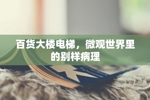 百货大楼电梯，微观世界里的别样病理
