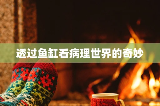 透过鱼缸看病理世界的奇妙