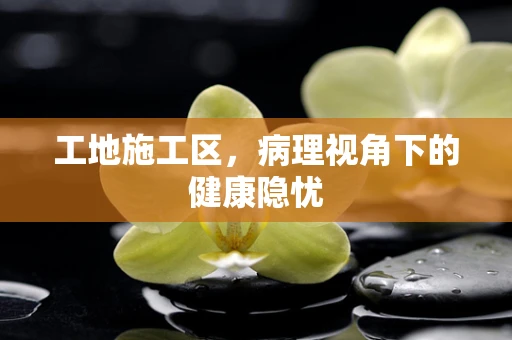 工地施工区，病理视角下的健康隐忧