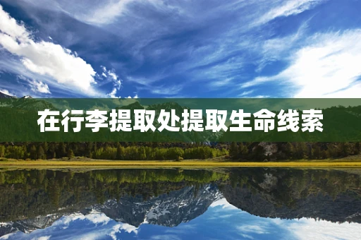 在行李提取处提取生命线索