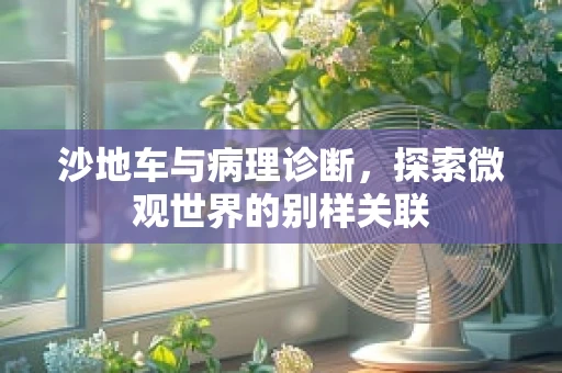 沙地车与病理诊断，探索微观世界的别样关联