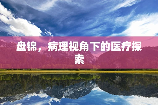 盘锦，病理视角下的医疗探索