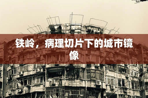 铁岭，病理切片下的城市镜像