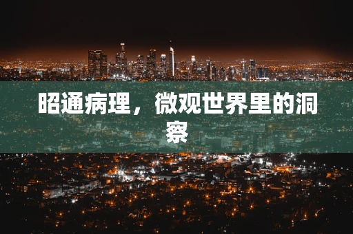 昭通病理，微观世界里的洞察