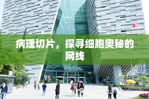 病理切片，探寻细胞奥秘的网线