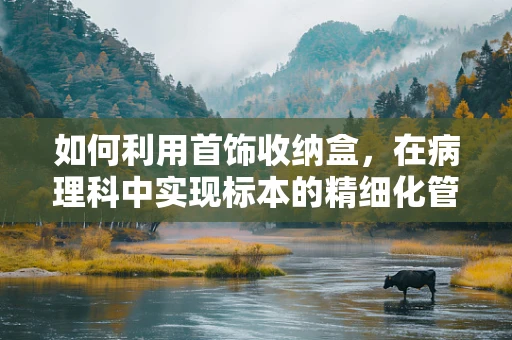如何利用首饰收纳盒，在病理科中实现标本的精细化管理？