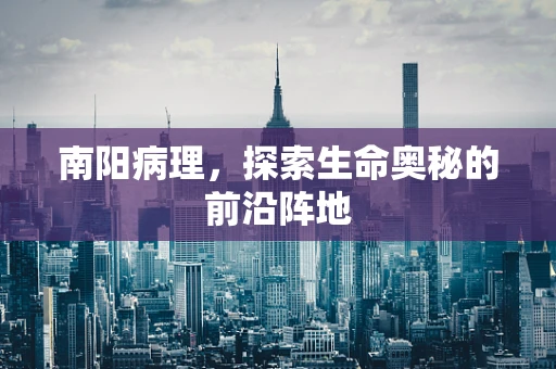 南阳病理，探索生命奥秘的前沿阵地