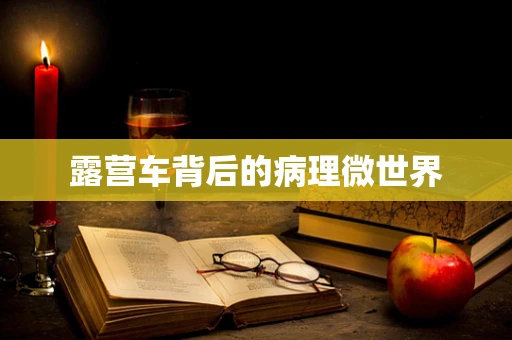 露营车背后的病理微世界