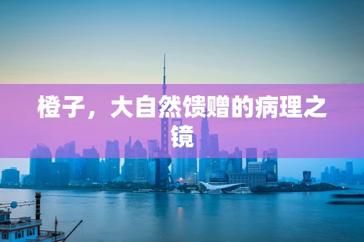 橙子，大自然馈赠的病理之镜