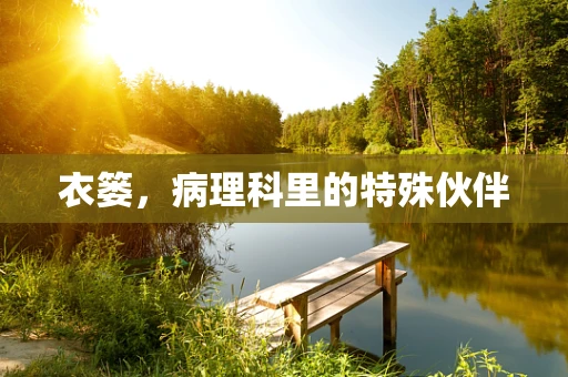 衣篓，病理科里的特殊伙伴