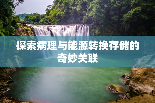 探索病理与能源转换存储的奇妙关联