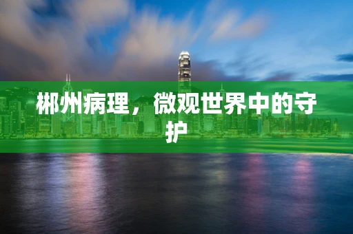郴州病理，微观世界中的守护