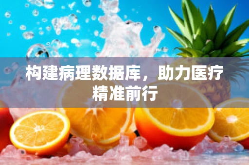 构建病理数据库，助力医疗精准前行