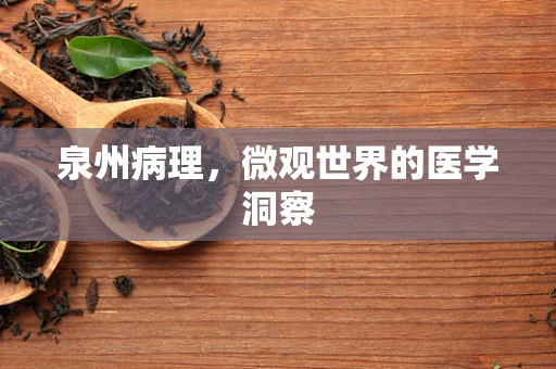 泉州病理，微观世界的医学洞察