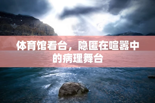 体育馆看台，隐匿在喧嚣中的病理舞台