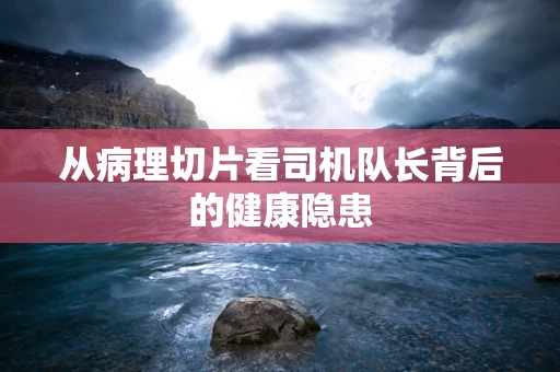 从病理切片看司机队长背后的健康隐患
