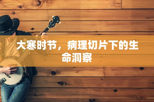 大寒时节，病理切片下的生命洞察
