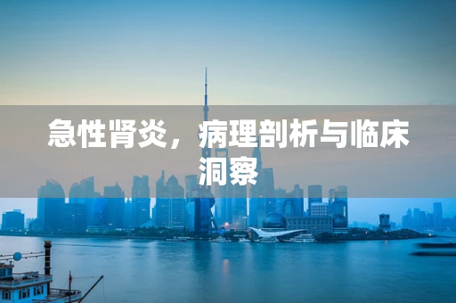 急性肾炎，病理剖析与临床洞察