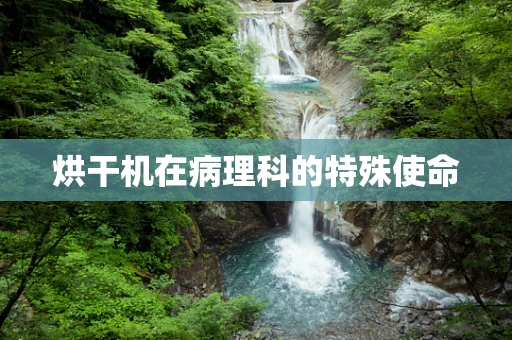 烘干机在病理科的特殊使命