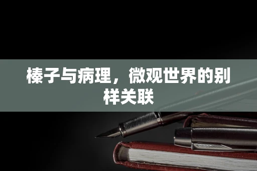 榛子与病理，微观世界的别样关联