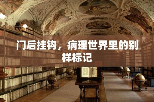 门后挂钩，病理世界里的别样标记