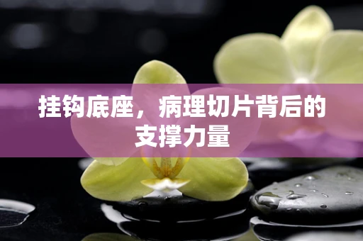挂钩底座，病理切片背后的支撑力量