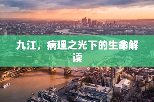 九江，病理之光下的生命解读