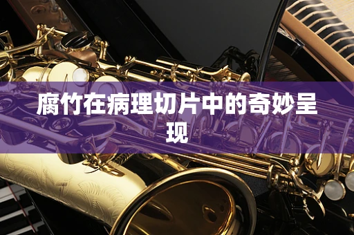 腐竹在病理切片中的奇妙呈现