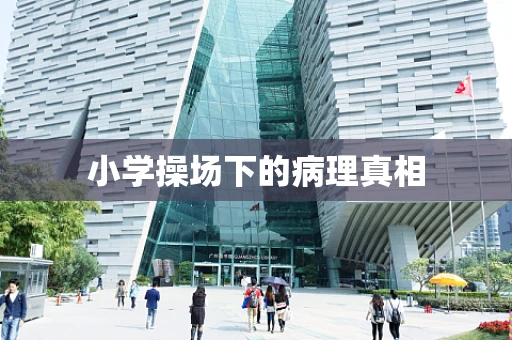 小学操场下的病理真相