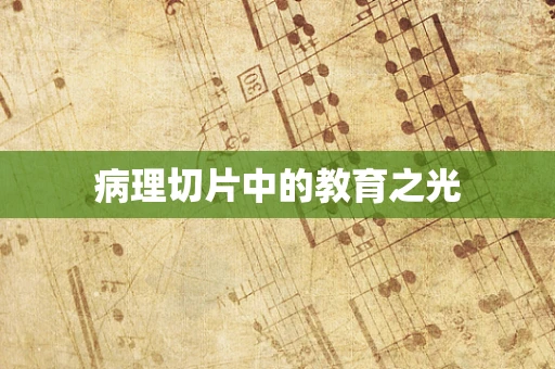 病理切片中的教育之光