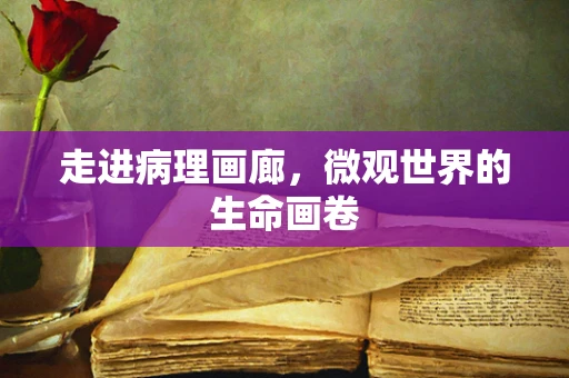 走进病理画廊，微观世界的生命画卷
