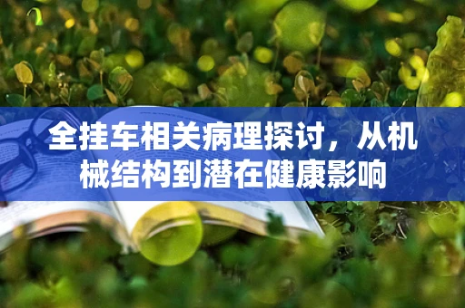 全挂车相关病理探讨，从机械结构到潜在健康影响