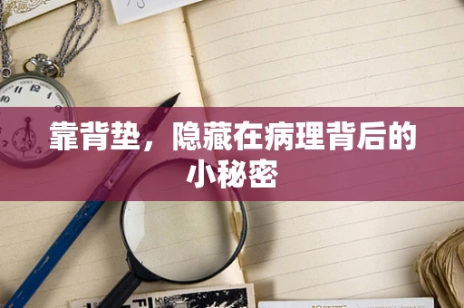 靠背垫，隐藏在病理背后的小秘密