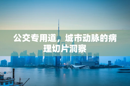 公交专用道，城市动脉的病理切片洞察
