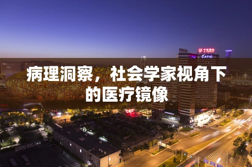病理洞察，社会学家视角下的医疗镜像