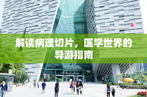 解读病理切片，医学世界的导游指南