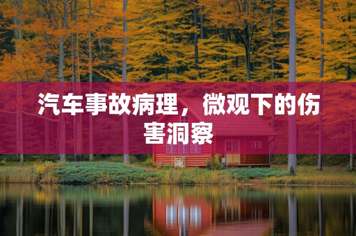 汽车事故病理，微观下的伤害洞察