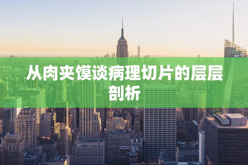从肉夹馍谈病理切片的层层剖析