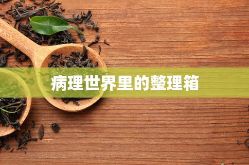 病理世界里的整理箱