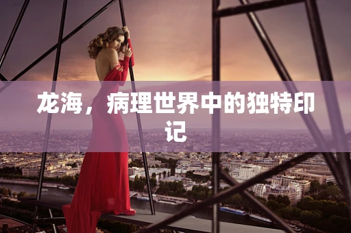 龙海，病理世界中的独特印记