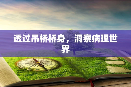 透过吊桥桥身，洞察病理世界