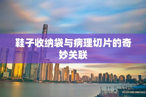 鞋子收纳袋与病理切片的奇妙关联